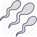 Sperm Fertilization Reproduction Icon