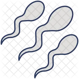 Sperm  Icon