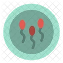 Sperm  Icon