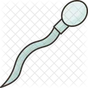 Sperm Cell Male Icon