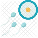 Sperm Donor Egg Icon