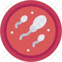 Sperm Reproduction Science Icon