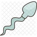 Sperm Male Reproduction Icon