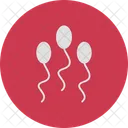 Sperm Fertilization Reproduction Icon