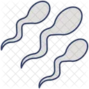 Sperm  Icon