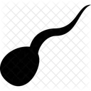 Sperm  Icon
