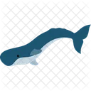 Sperm Whale Aquatic Animal Icon