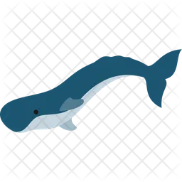 Sperm whale  Icon