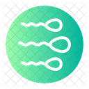 Spermatozoa Pregnancy Reproduction Icon