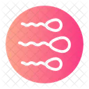 Spermatozoa  Icon