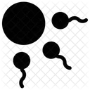 Spermatozoides Genes Chromosomes Icône