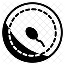 Sperme Reproduction Fecondation Icône