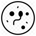 Sperme Reproduction Fecondation Icône