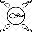 Sperme Et Ovule Spermatozoide Male Icône