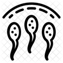 Spermien Gene Chromosomen Symbol