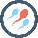 Sperms Fertile Reproduction Icon