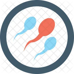 Sperms  Icon