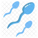 Sperms Sperm Fertile Icon