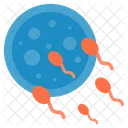 Ovulation Baby Sperm Icon