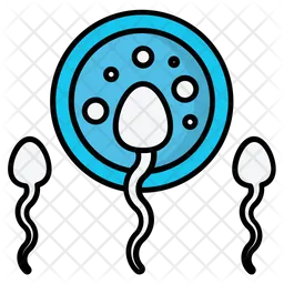 Sperms  Icon