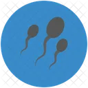 Sperms  Icon