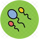 Sperms Reproduction Germs Icon