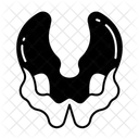 Sphenoid Bone Icon
