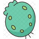 Spherical Turtle Shell Icon