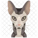 Sphinx  Symbol
