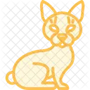 Sphynx Cat Sphynxcat Cat Icon