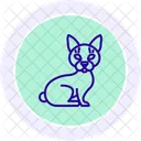 Sphynx Cat Icon