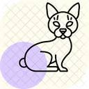 Sphynx Cat Sphynxcat Cat Icon