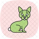 Sphynx Cat Sphynxcat Cat Icon