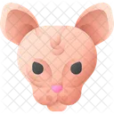 Sphynx Cat Cat Animal Icon
