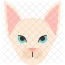 Sphynx Cat Icon