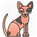 Sphynx Cat  Icon