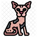 Sphynx Cat Icon
