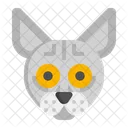 Sphynx Cat Pet Cat Cat Icon