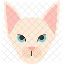 Sphynx Katze Symbol