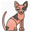 Sphynx-Katze  Icon