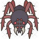 Spider Arachnid Web Icon