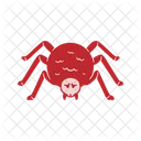 Spider Dual Tone Insect Halloween Icon