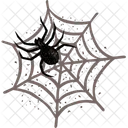 Spider Witchcraft Halloween Icon
