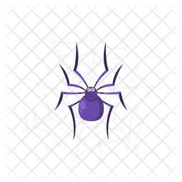 Spider  Icon