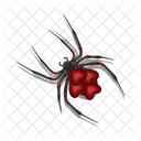 Spider Icon
