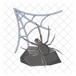 Spider  Icon