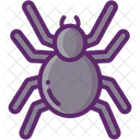 Spider Ecology Nature Icon