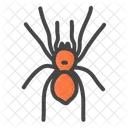 Spider Spiders Tarantulas Icon