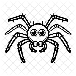 Spider  Icon