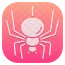 Spider Halloween Scary Icon